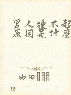 男人硬不起来的原因是什么