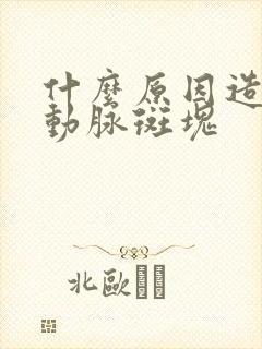 什么原因造成颈动脉斑块