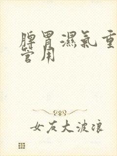 脾胃湿气重吃啥管用