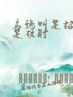 乌鸦叫是招财还是破财