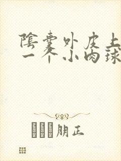 阴囊外皮上长了一个小肉球硬硬的