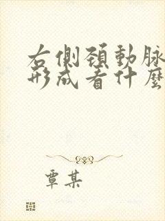 右侧颈动脉斑块形成看什么科