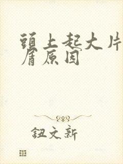 头上起大片头皮屑原因