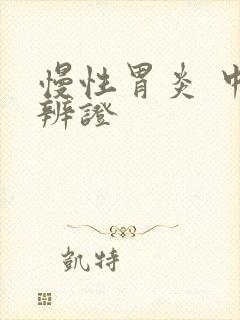 慢性胃炎 中医辨证