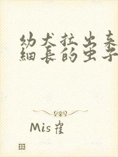 幼犬拉出来白色细长的虫子