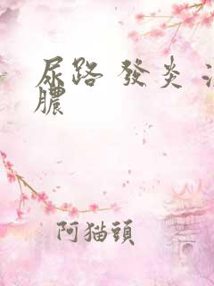 尿路 发炎 流脓