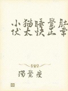 小猫睡觉肚子起伏太快正常吗