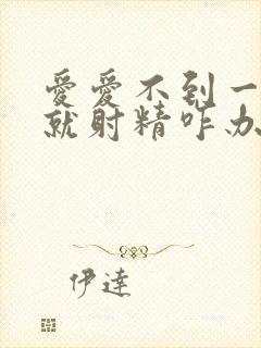 爱爱不到一分钟就射精咋办