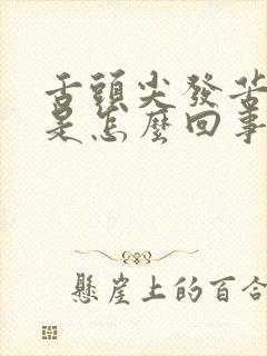 舌头尖发苦发麻是怎么回事