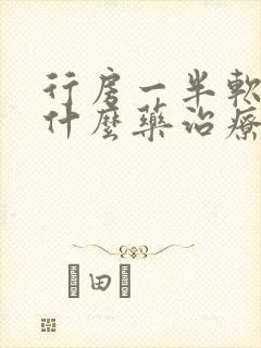 行房一半软了吃什么药治疗