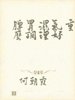 脾胃湿气重吃什么调理好