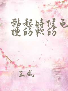 勃起时候龟头是硬的软的