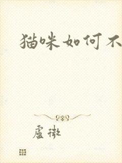 猫咪如何不掉毛