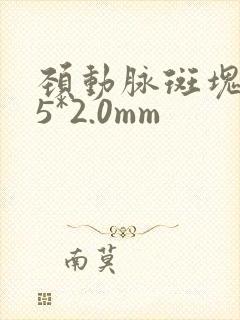 颈动脉斑块7.5*2.0mm