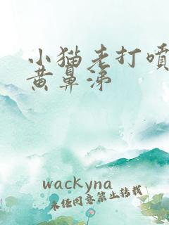 小猫老打喷嚏流黄鼻涕