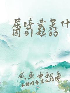 尿暗黄是什么原因引起的