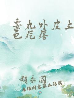 睾丸外皮上有白色疙瘩