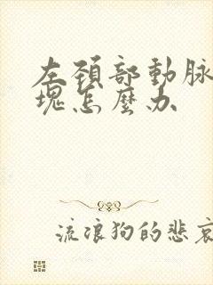 左颈部动脉有斑块怎么办