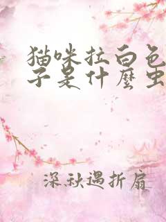 猫咪拉白色的虫子是什么虫