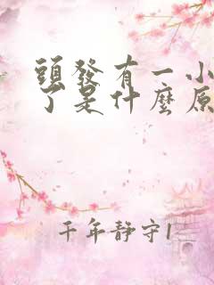 头发有一小块秃了是什么原因