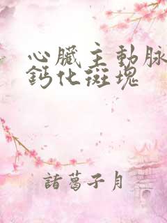 心脏主动脉血管钙化斑块