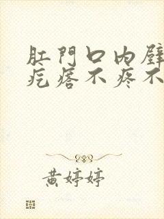 肛门口内壁有硬疙瘩不疼不痒