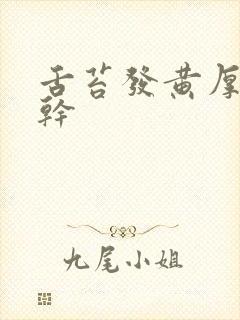 舌苔发黄厚腻口干