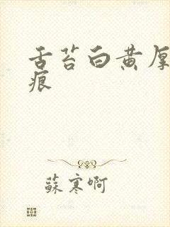 舌苔白黄厚有齿痕