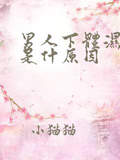 男人下体湿气重是什原因