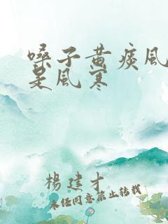 嗓子黄痰风热还是风寒