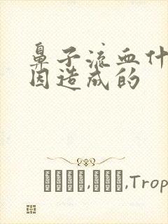 鼻子流血什么原因造成的