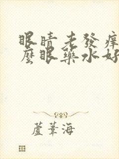 眼睛老发痒用什么眼药水好