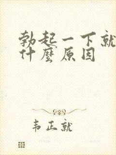 勃起一下就软了什么原因