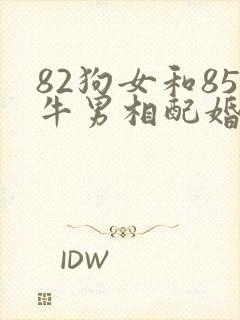 82狗女和85牛男相配婚姻如何