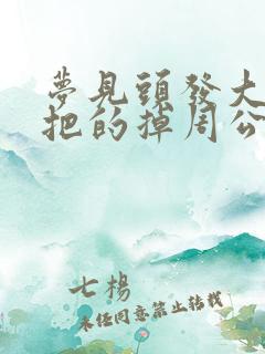 梦见头发大把大把的掉周公解梦