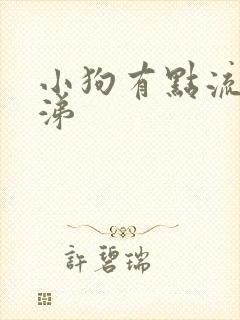 小狗有点流黄鼻涕