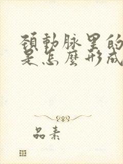 颈动脉里的斑块是怎么形成的