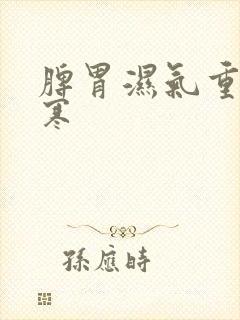 脾胃湿气重有点寒