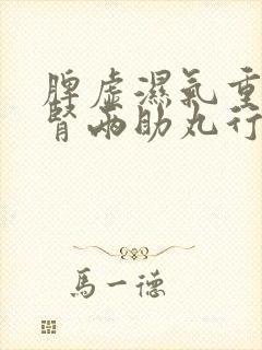 脾虚湿气重吃脾肾两助丸行吗