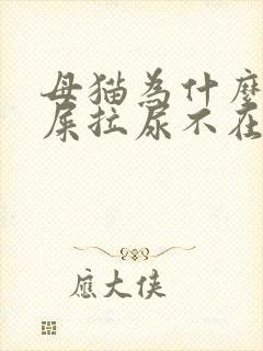 母猫为什么乱拉屎拉尿不在猫砂盆里