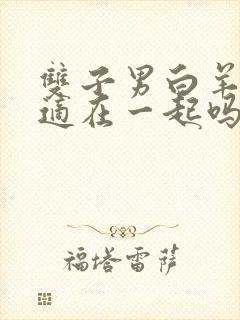 双子男白羊女合适在一起吗