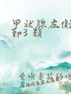 甲状腺左侧叶结节3 类