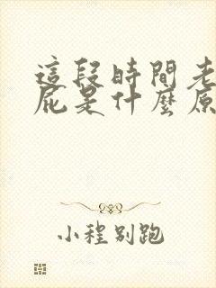 这段时间老是放屁是什么原因引起的