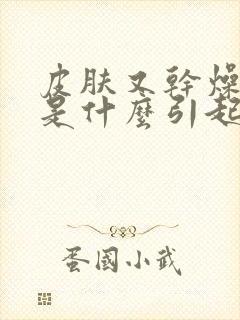 皮肤又干燥又痒是什么引起的