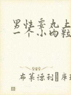 男性睾丸上长了一个小肉粒