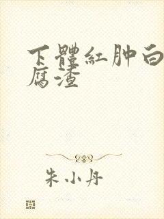 下体红肿白带豆腐渣