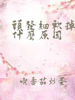 头发细软掉发是什么原因