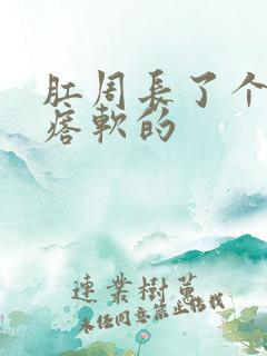 肛周长了个肉疙瘩软的