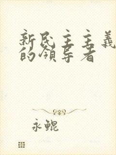 新民主主义革命的领导者