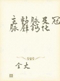 主动脉及冠状动脉壁钙化